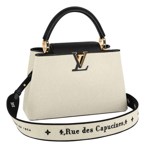 louis vuitton capucines price euro|lv capucines bag.